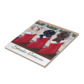 Carreau Noël de chiots de labrador retriever (Côté)