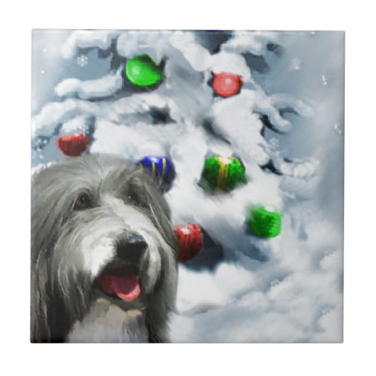 Carreau Noël de Collie barrée (Devant)