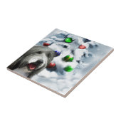Carreau Noël de Collie barrée (Côté)