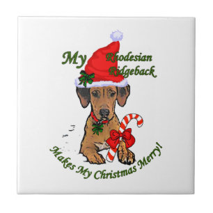 Carreau Noël de Rhodesian Ridgeback