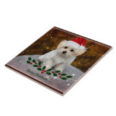 Carreau Noël des chiots maltais (Côté)