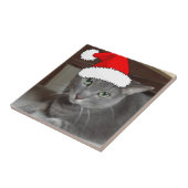 Carreau Noël du chat bleu russe (Côté)