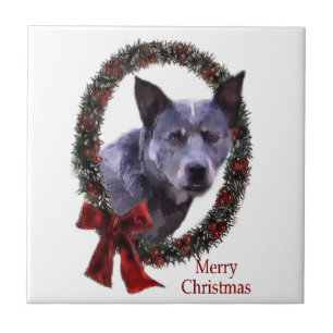 Carreau Noël du chien de bétail australien