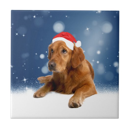 Carreau Noël Mignonne Golden Retriever Chien Santa Hat Nei (Devant)