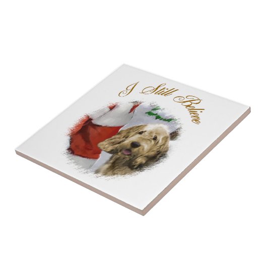 Carreau Noël Otterhound (Côté)