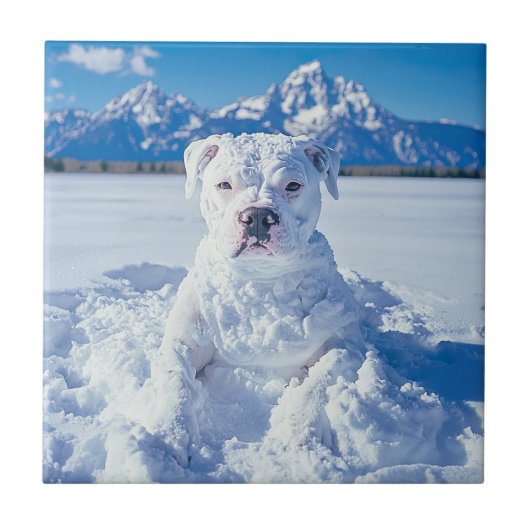 Carreau Noël Pitbull Chien Snowman (Devant)