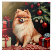 Carreau Noël Poméran (Devant)