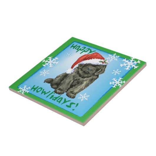 Carreau Noël Terre-Neuve (Côté)