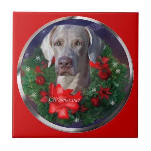 Carreau Noël Weimaraner (Devant)