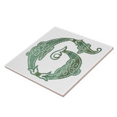 Carreau Noeud celtique du 16e siècle Capital décoratif G (Côté)