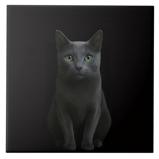 Carreau Noir 4 Luxe avec Chat Bleu Russe (Devant)