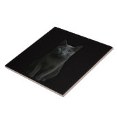 Carreau Noir 4 Luxe avec Chat Bleu Russe (Côté)