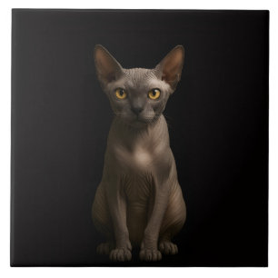 Carreau Noir 4 Luxe avec Chat Sphynx