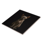 Carreau Noir 4 Luxe avec Chat Sphynx (Côté)