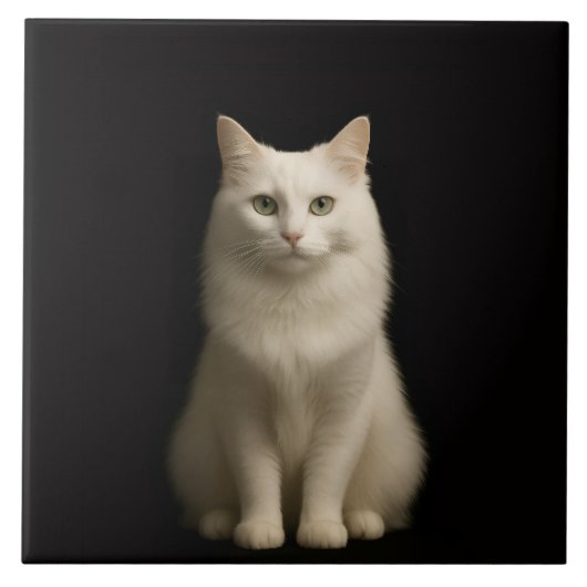 Carreau Noir 4 Luxe avec Chat Turc d'Angora (Devant)