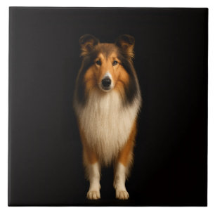 Carreau Noir 4 Luxe avec Chien Collie Loyal
