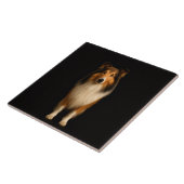 Carreau Noir 4 Luxe avec Chien Collie Loyal (Côté)