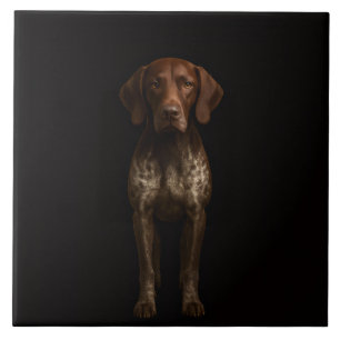 Carreau Noir 4 Luxe avec Chien Pointer Allemand