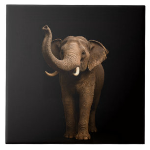 Carreau Noir 4 Luxe avec l'Éléphant Puissant