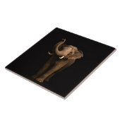 Carreau Noir 4 Luxe avec l'Éléphant Puissant (Côté)