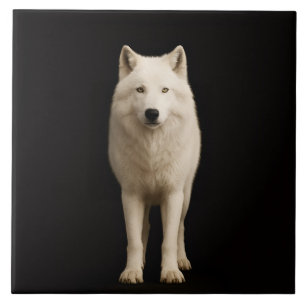 Carreau Noir 4 Luxe avec Loup Arctique Ivoire