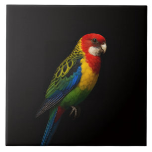 Carreau Noir 4 Luxe avec perroquet Rosella orienta