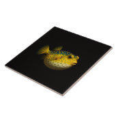 Carreau Noir 4 Luxe avec Poisson-globe Jaune (Côté)