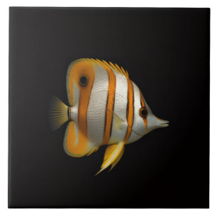 Carreau Noir 4 Luxe avec Poisson-papillon à raies