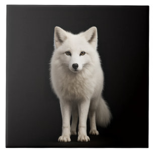 Carreau Noir 4 Luxe avec Renard Arctique Ivoire