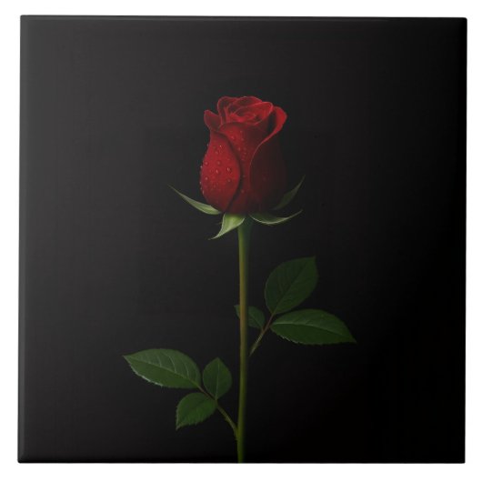 Carreau Noir 4 Luxe avec Rose Rouge Velours (Devant)
