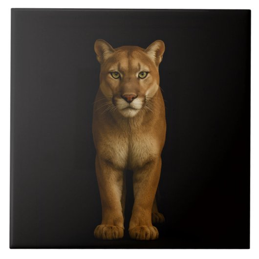 Carreau Noir 4 Luxe avec Silent Prime Puma (Devant)
