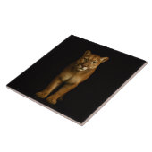 Carreau Noir 4 Luxe avec Silent Prime Puma (Côté)