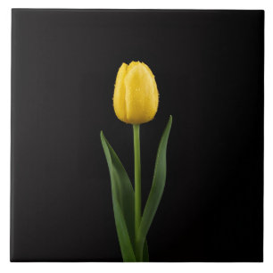 Carreau Noir 4 Luxe avec Tulipe Jaune Doré