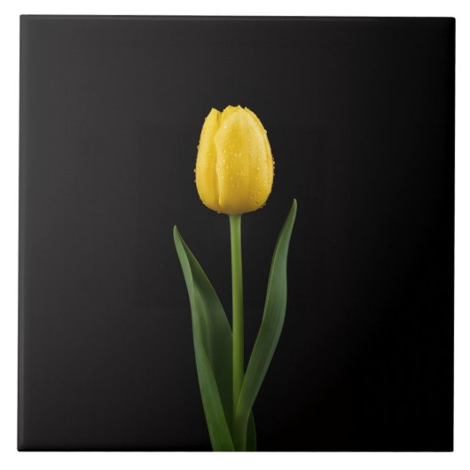 Carreau Noir 4 Luxe avec Tulipe Jaune Doré (Devant)
