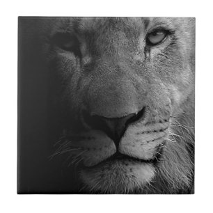 Carreau Noir Blanc Motivation Leadership Lion Portrait