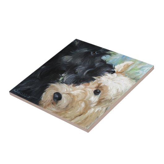 Carreau Noir et art écossais blond comme les blés de (Côté)