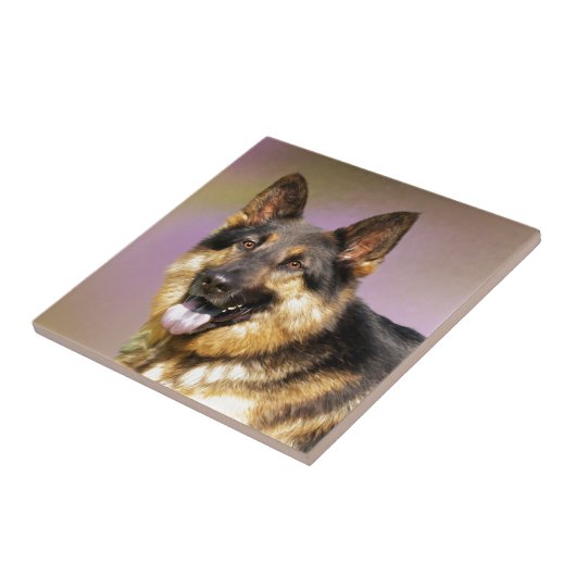 Carreau Noir et Tan GSD (Côté)