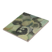 Carreau Noirs (Côté)