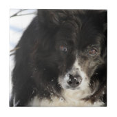 Carreau non défini (Devant)