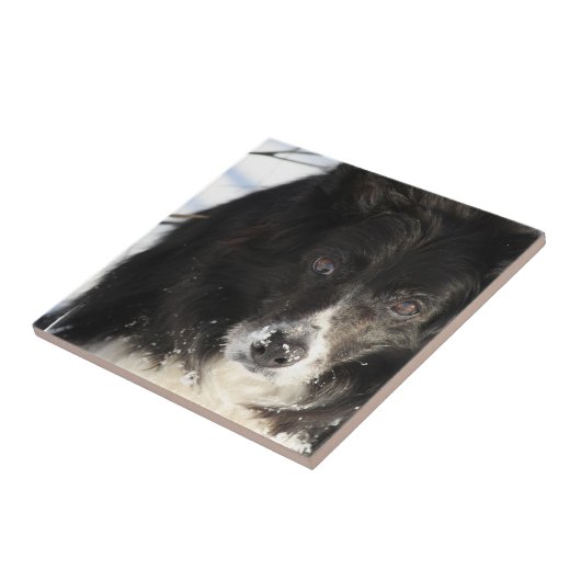 Carreau non défini (Côté)