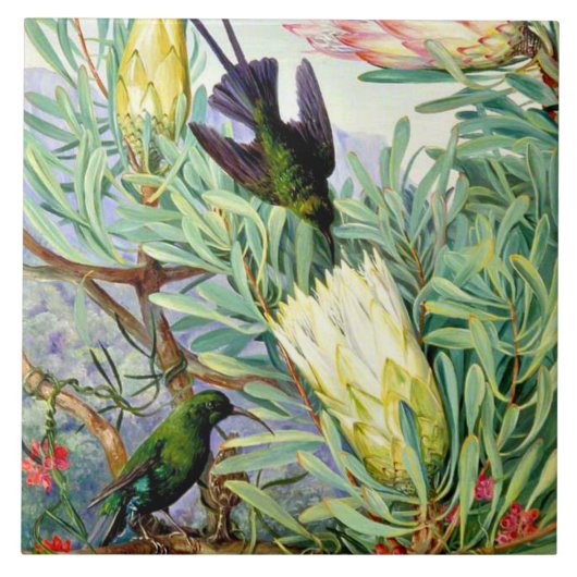 Carreau Nord - Fleurs de miel et suceurs de miel (Devant)