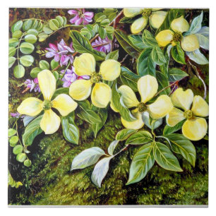 Carreau Nord - Fleurs d'un Dogwood et d'un Indigo