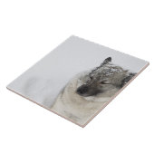 Carreau Norvégien Elkhound (Côté)