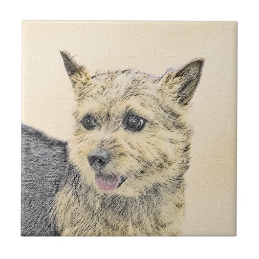 Carreau Norwich Terrier Peinture - Cute Original Chien Art (Devant)