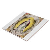 Carreau Notre-Dame de Guadalupe (Côté)