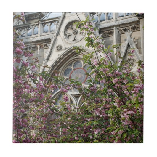 Carreau Notre-Dame spring (Devant)