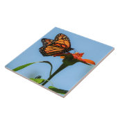 Carreau Nourriture Monarque Papillon sur Fleur Orange (Côté)