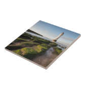 Carreau Nouveau phare de Brighton (Côté)