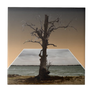 Carreau Nouveaux Départs : Arbre De L'Espoir Popout Art,