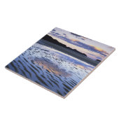 Carreau Nouvelle-Zélande, Parc national Abel Tasman, Côte (Côté)